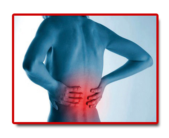 orthopicchioni.com | Info per Solette Propriocettive